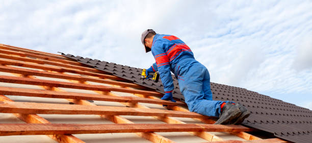 Best Asphalt Shingle Roofing  in Lorain, OH